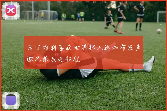 马丁内利喜获世界杯入选加布发声邀兄弟共赴征程